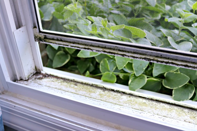 Clean Your Nasty Window Tracks Using One Simple Trick!